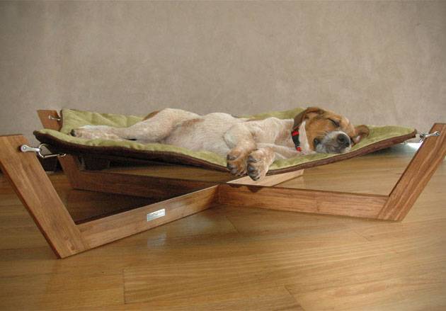 Собака в доме: советы, как обеспечить сохранность мебели и покрытий | houzz россия