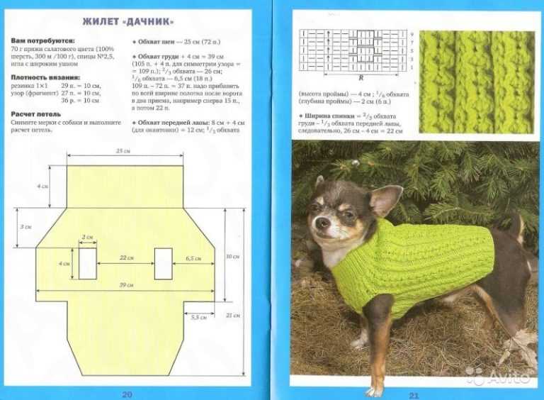 Вязание для собак мелких пород спицами: схемы и инструкция, выкройки