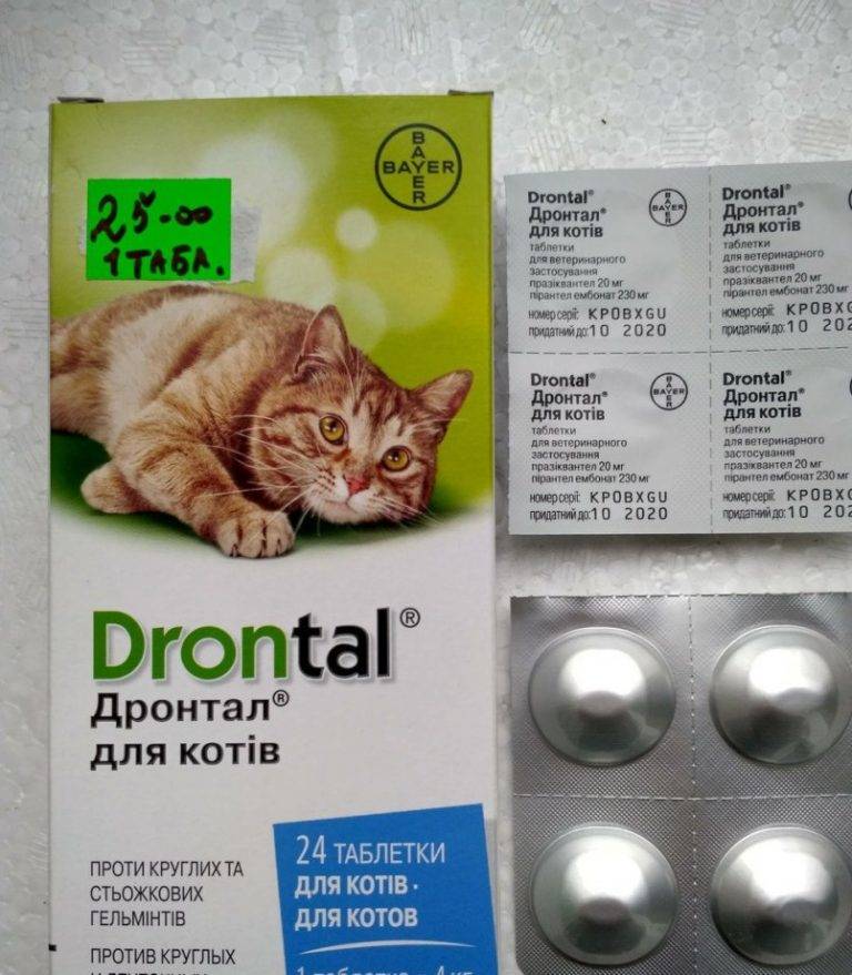 Дронтал для кошек: показания, применение, побочные эффекты
