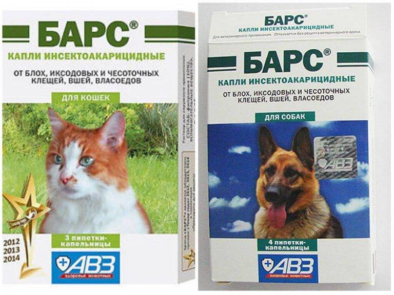 Капли барс: описание средства от блох и клещей