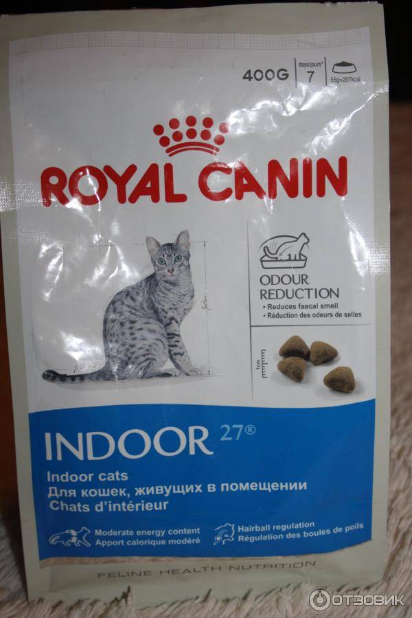 Royal canin kitten - рейтинг, обзор корма, сравнение и анализ royal canin kitten, состав и описание корма, плюсы и минусы royal canin kitten, отзывы о корме, характеристика и дозировка