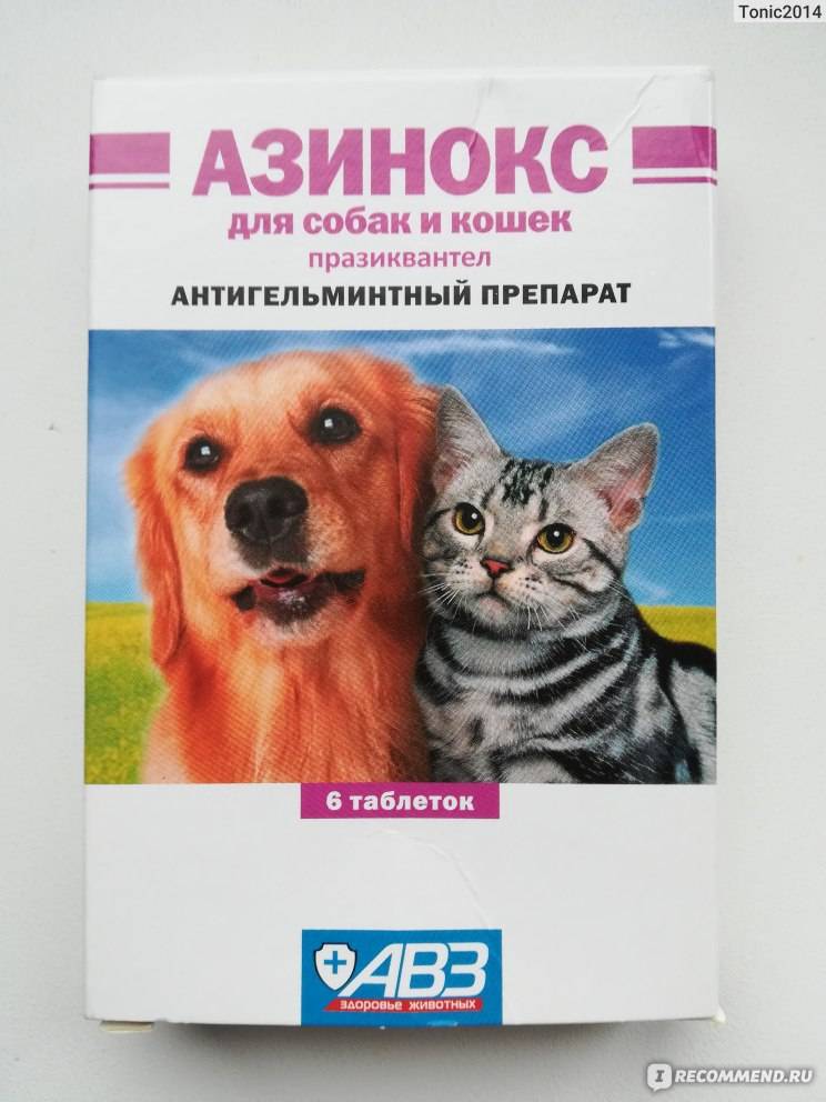 Азинокс для кошек: состав, принцип действия таблеток от гельминтов, отзывы, аналоги