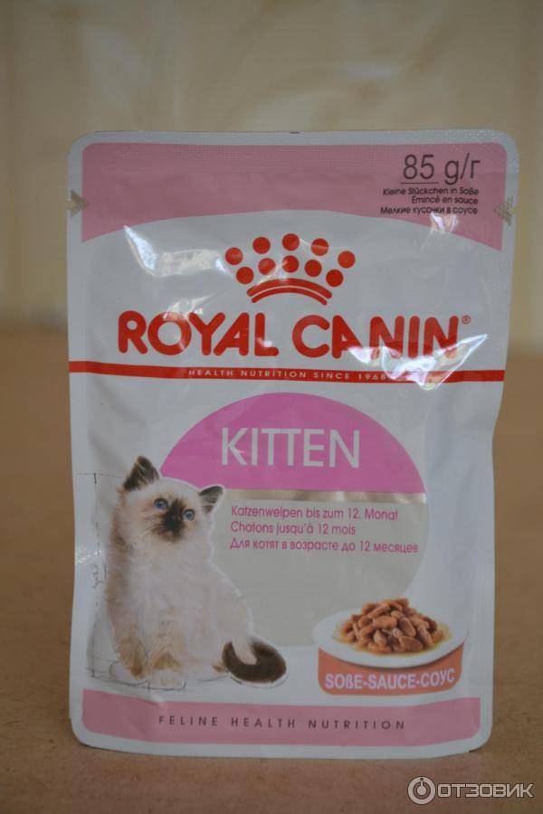 Корм royal canin (роял канин) для кошек: сухой, влажный, состав, линейка