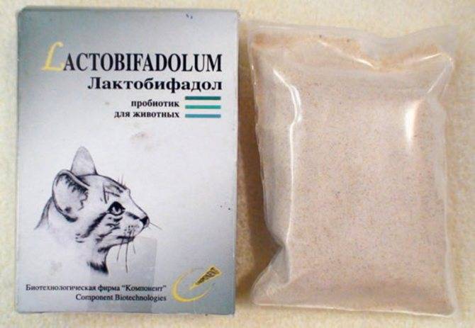 Лактобифадол для кошек и собак инструкция для применения в ветеринарии дозировки
