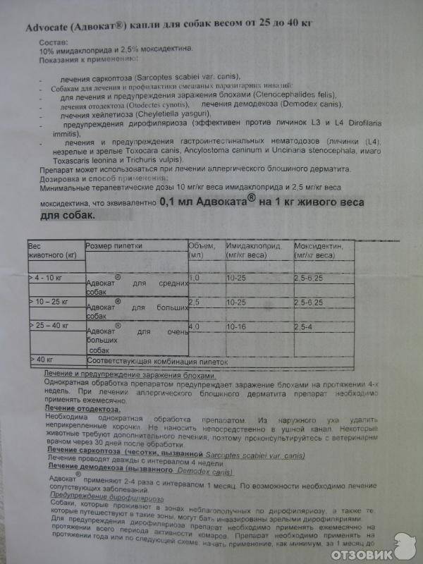 Адвокат / advocate (капли) для собак и кошек | отзывы о применении препаратов для животных от ветеринаров и заводчиков