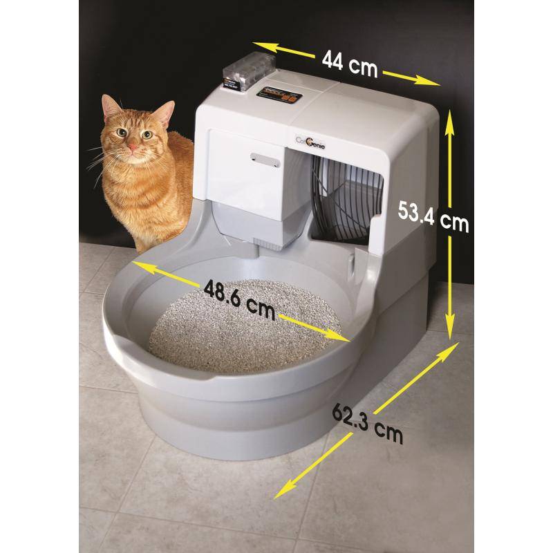 Как выбрать туалет для кошки - рейтинг 10 лучших лотков 2021 года
