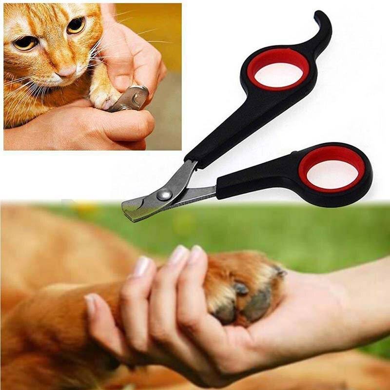 Как подстричь когти кошке и котенку правильно в домашних условиях