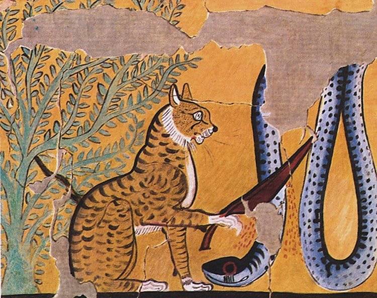 Кошки в истории, история кошек в средние века - всё о кошках и котах