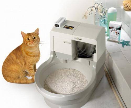 Лучшие умные туалеты для кошек