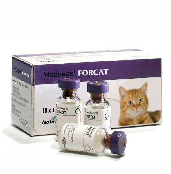 Нобивак трикет трио для кошек: инструкция по применению │ прививка нобивак коту