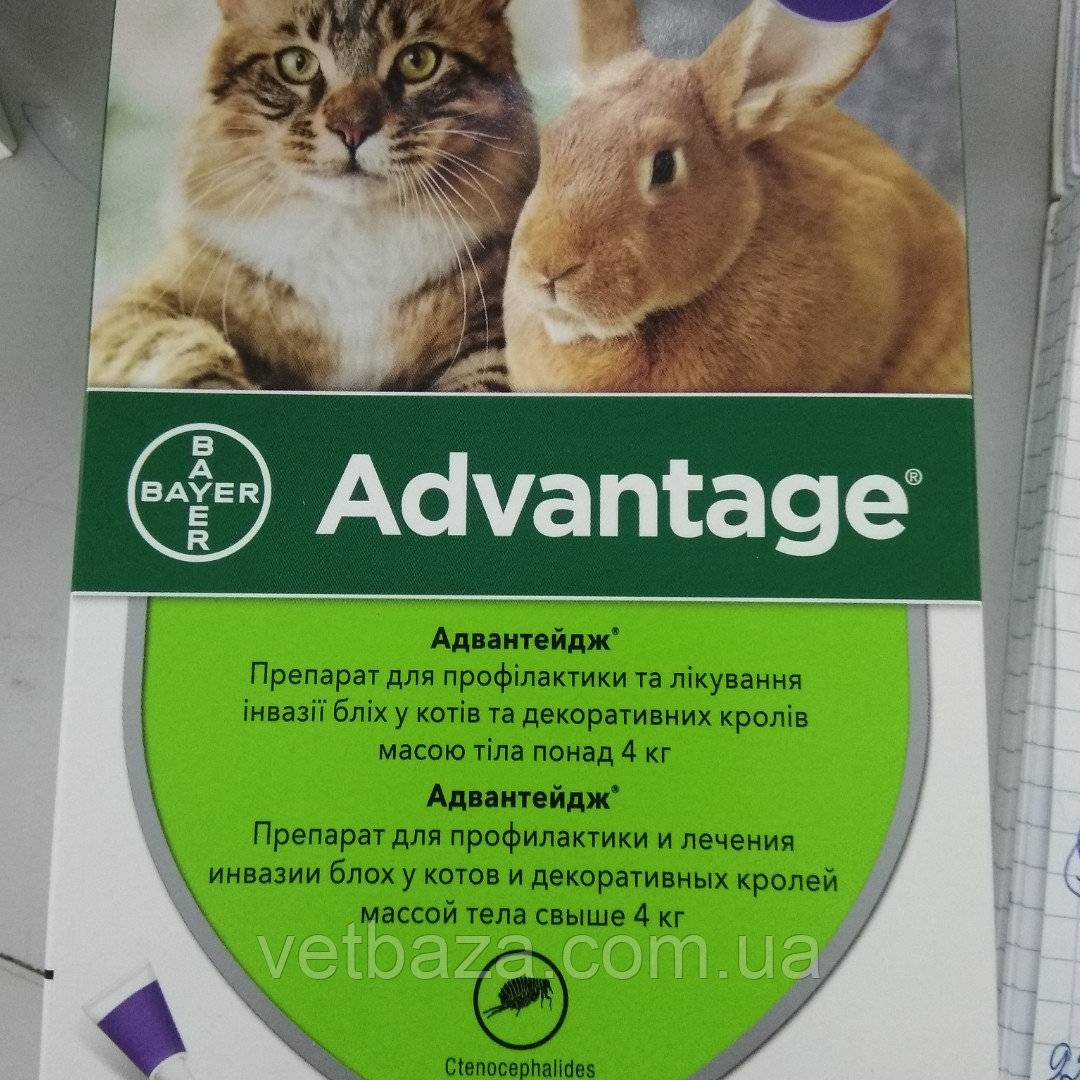Адвантейдж для кошек более 4 кг - купить, цена и аналоги, инструкция по применению, отзывы в интернет ветаптеке добропесик