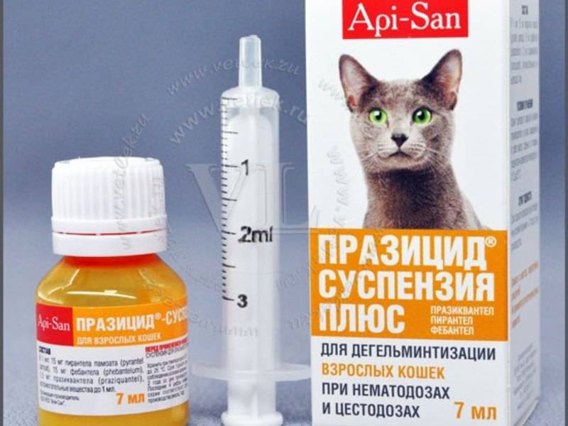 Как использовать препарат празицид суспензия плюс для кошек и котят