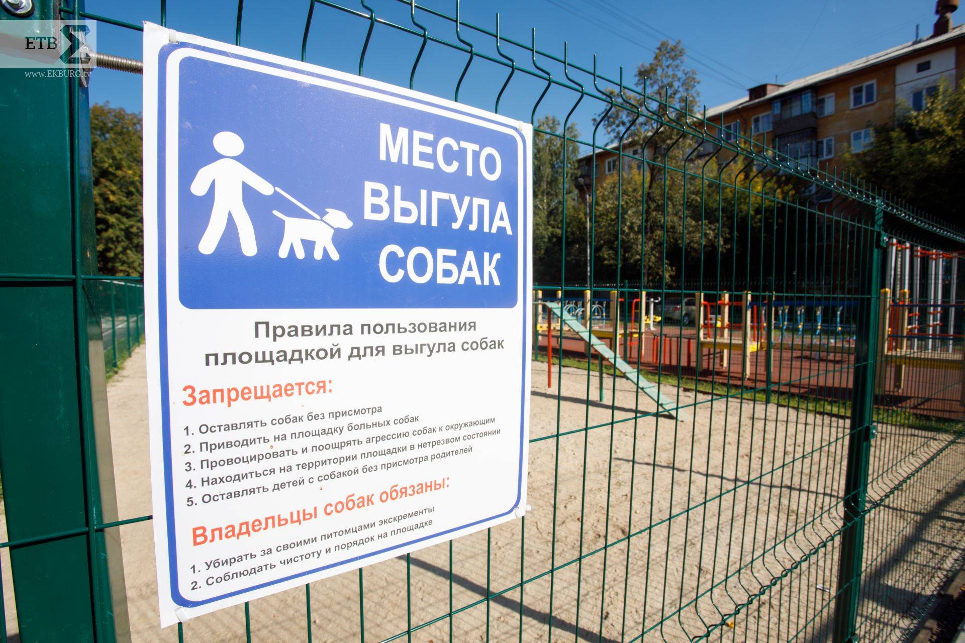 Правила выгула собак: закон в 2021 году, штраф, запрещенные места, можно ли гулять без намордника и поводка в городе