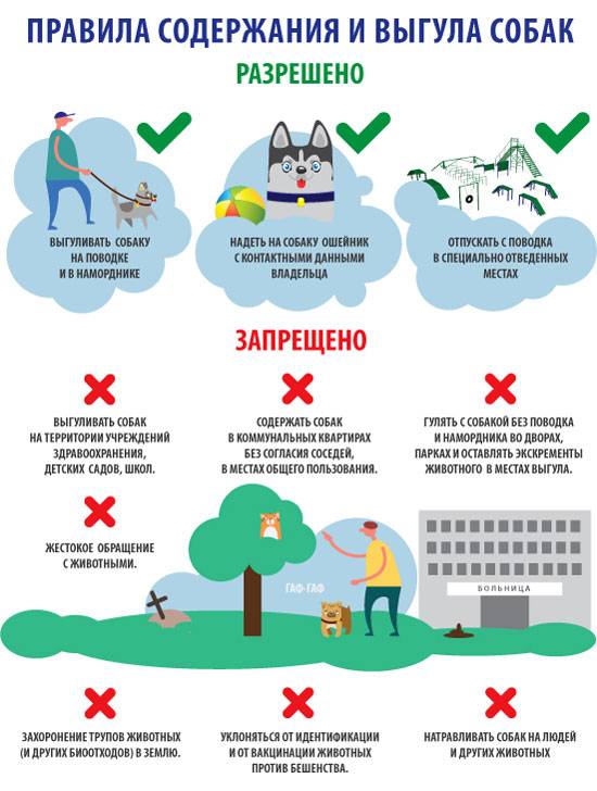 Закон о выгуле собак в россии на 2017