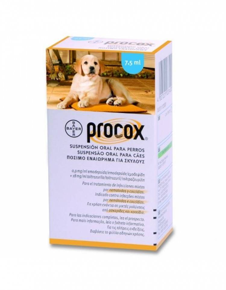 Прококс для собак – от глистов и простейших