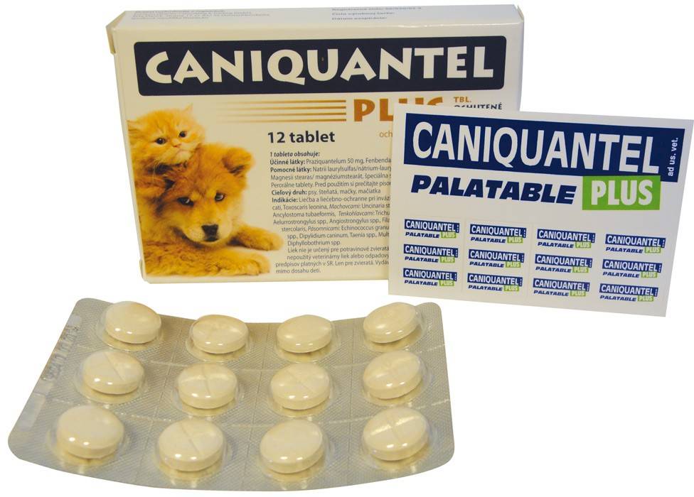 Каниквантел плюс для собак: инструкция, описание препарата