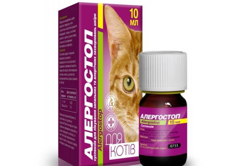 Антигистаминные препараты для кошек: что дать от аллергии