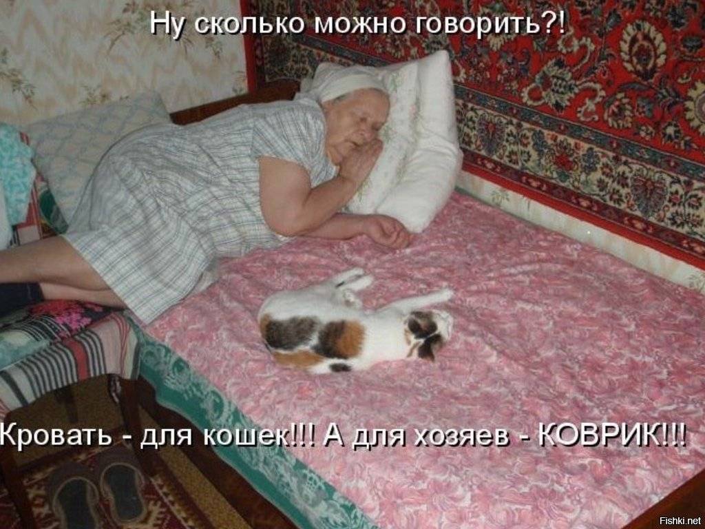 Как заставить кошку (кота) уснуть