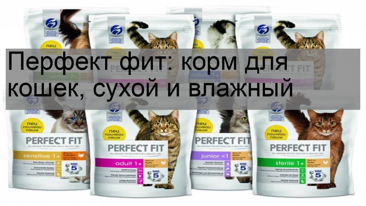 Основные линейки и состав корма для кошек «перфект фит»