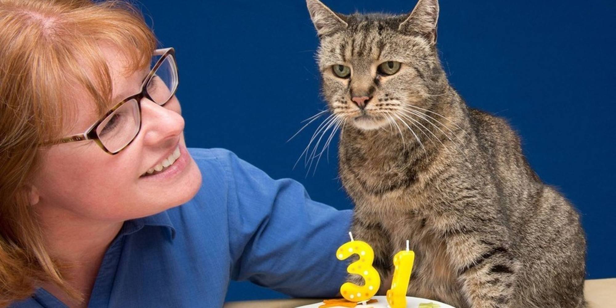 Самые долгоживущие породы кошек: список с описанием