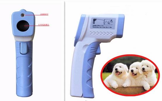 Как вы измеряете температуру собаке?