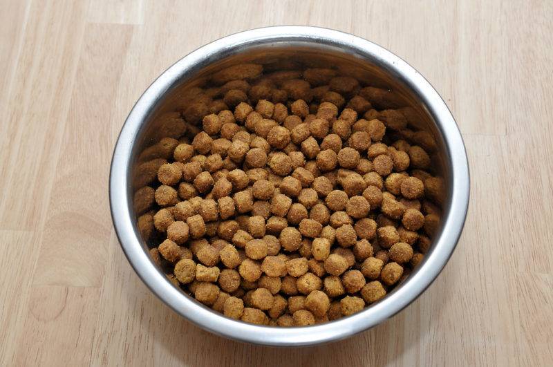 Можно кормящую собаку кормить сухим кормом?