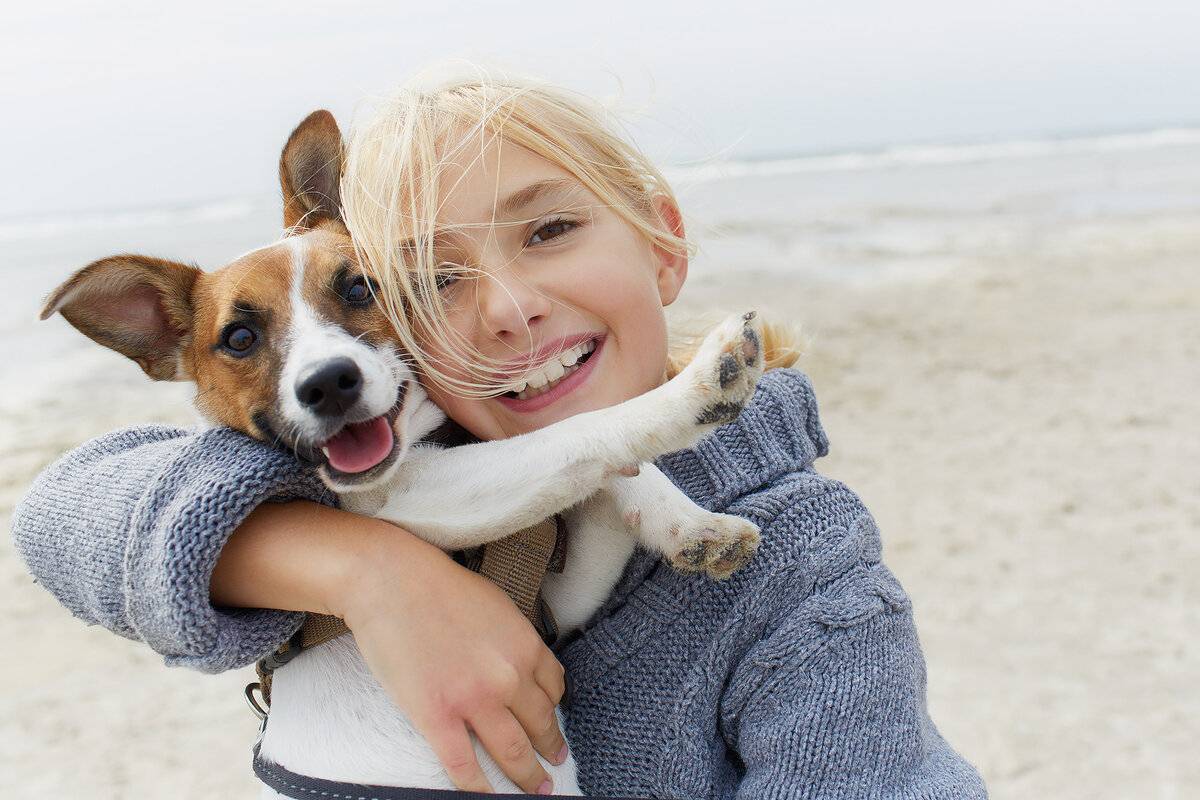 10 причин, почему собаки - лучшие друзья человека