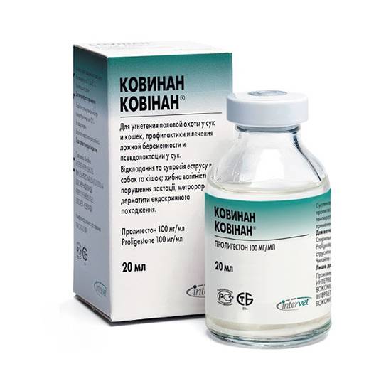 Ковинан для кошек: инструкция по применению, отзывы ветеринаров и владельцев кошек (125 фото)