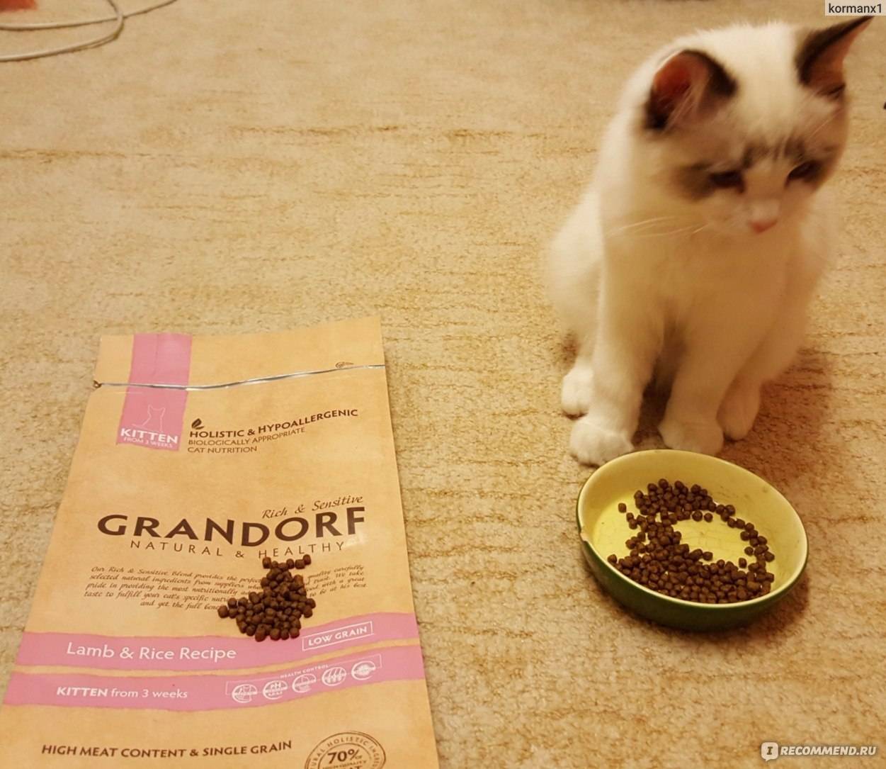 Корм «грандорф» («grandorf») для кошек – полезно и вкусно