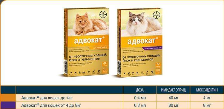 Адвокат для кошек: состав, форма выпуска, цена, производитель