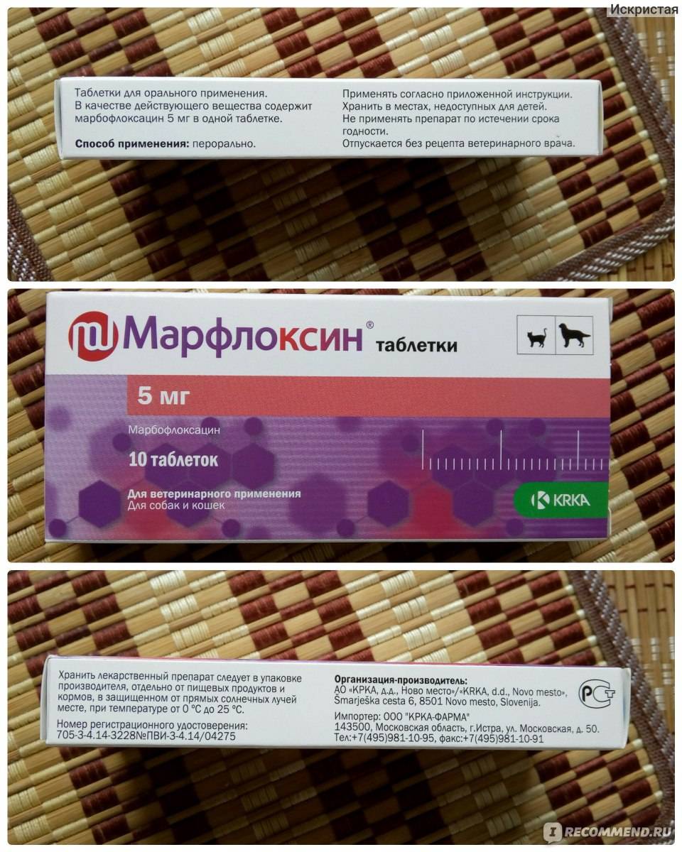 Марфлоксин 20 мг № 10 - купить, цена и аналоги, инструкция по применению, отзывы в интернет ветаптеке добропесик
