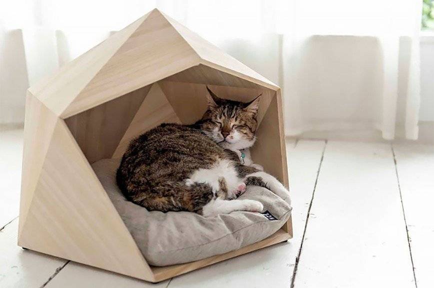 Как сделать домик для кота своими руками: 13 идей