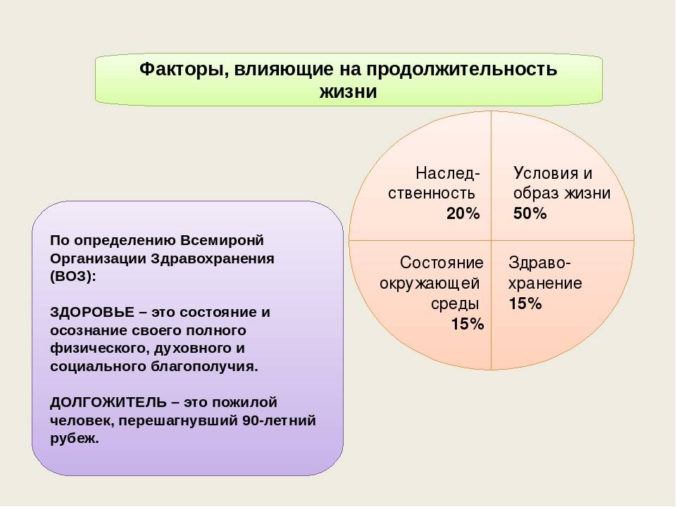 Русский охотничий спаниель: характеристика породы, отзывы