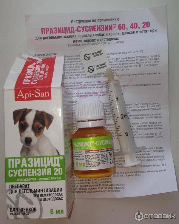 Таблетки от глистов для собак | названия и показания к применению таблеток от глистов для собак | компетентно о здоровье на ilive