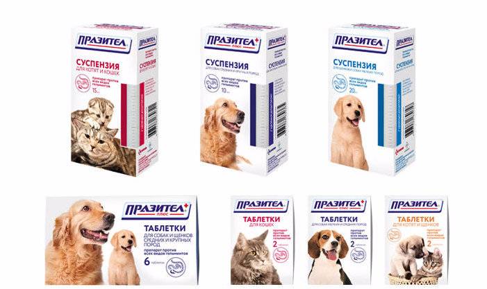Празител для собак: стоимость, фармакологическое действие, отзывы ветеринаров - kupipet.ru
