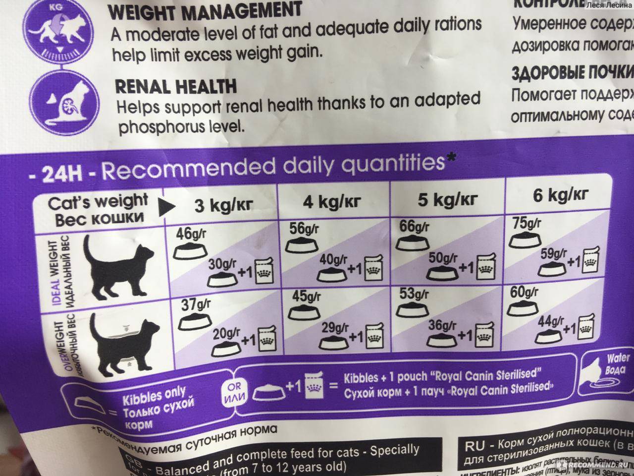 Рейтинг кормов для стерилизованной кошки и кота, чем кормить: сухой и жидкий