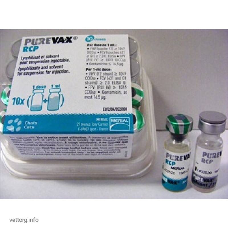 Препарат пуревакс для вакцинации кошек