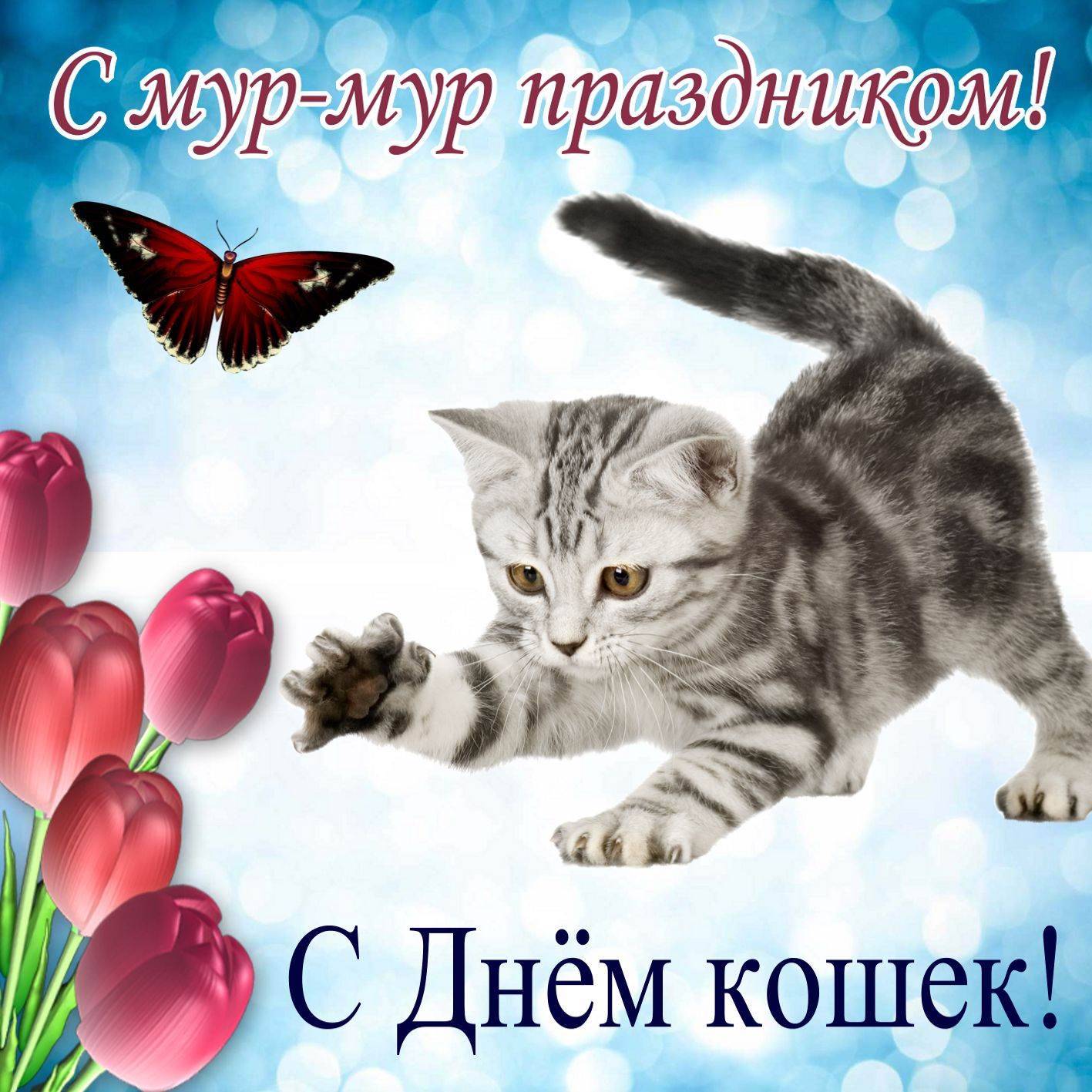 Всемирный день кошек в 2019 г.: какого числа отмечают, история праздника в 2021 году