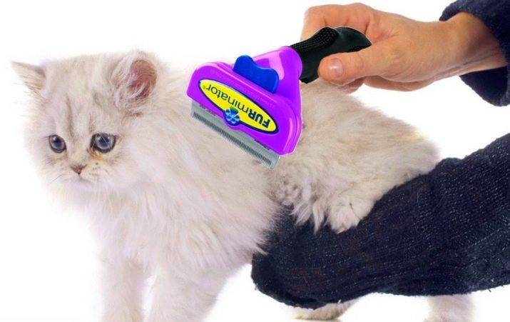 Вычёсывание — уход за шерстью кошки