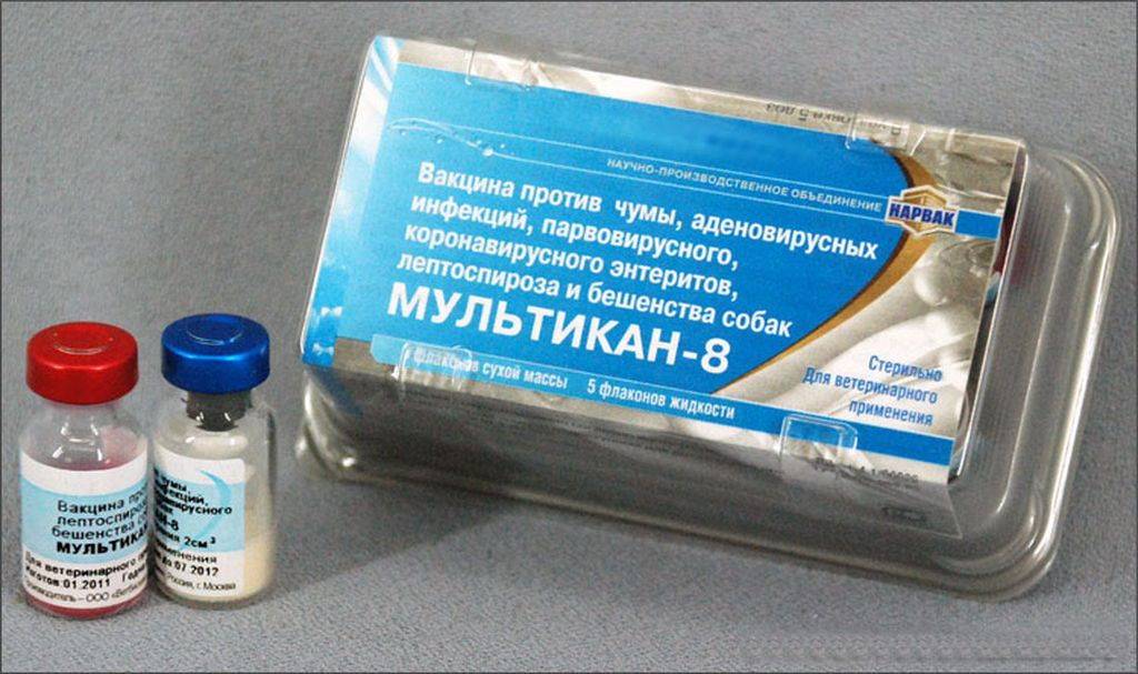 Мультикан 8: инструкция по применению для собак, состав вакцины и форма выпуска, противопоказания - kotiko.ru