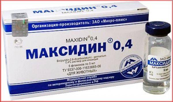 Максидин (капли) для кошек и собак | отзывы о применении препаратов для животных от ветеринаров и заводчиков