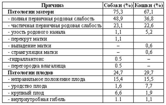 Беременность сибирский хаски и подготовка к родам - питомник husky fund