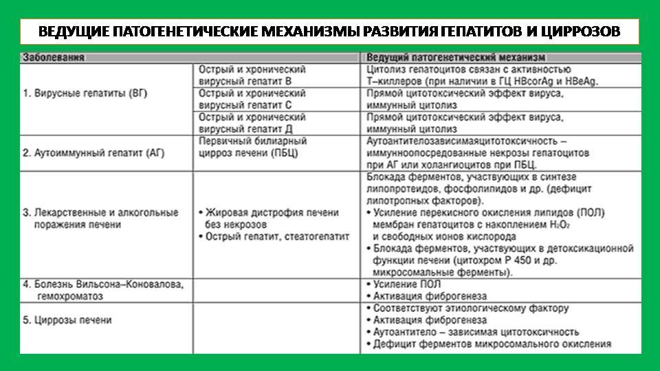 Гепатит кошек - симптомы, причины и лечение гепатита у кошек в москве. ветеринарная клиника "зоостатус"