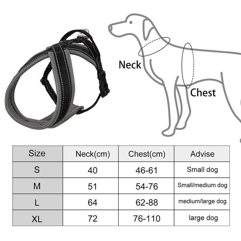 Шлейка для собак - обзор изделий для мелких, средних, крупных пород с описанием и ценами