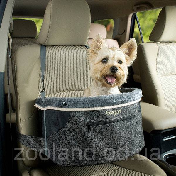 Выбор лучшего гамака для собак в автомобиль