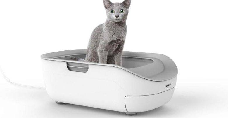 Автоматический кошачий туалет: что это такое, принцип работы, разновидности и модели
