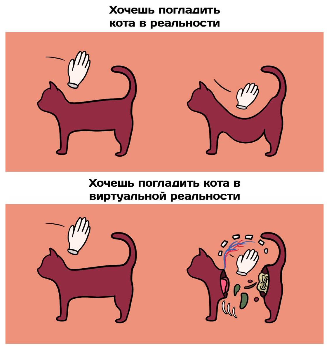 Dobropesik.ru - воротник для кошек и его назначение