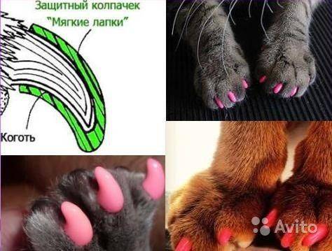Накладки на когти для кошек