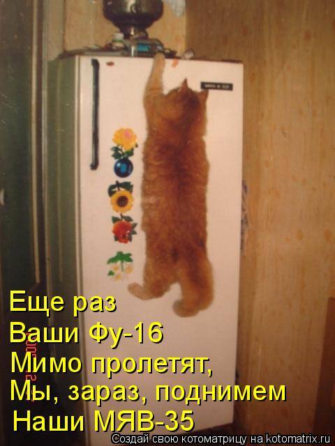  почему кошки просят открыть дверь, но не заходят