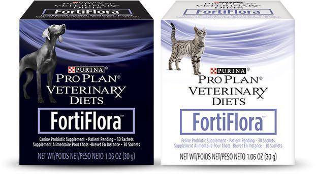 Пробиотик «фортифлора» для собак: состав, инструкция по применению